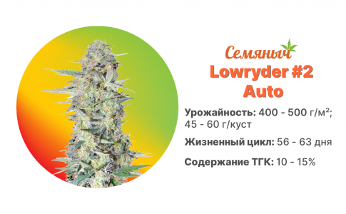 Lowryder 2