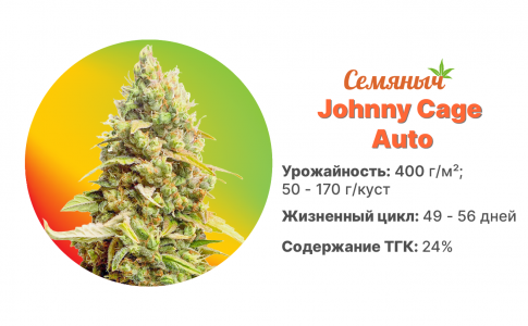Johny Cage Auto