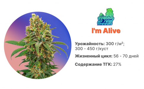 I'm Alive I'm Alive