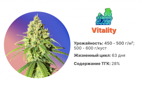 Vitality Vitality