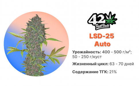 LSD-25 Auto LSD-25 Auto