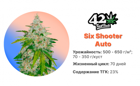 Six Shooter Auto Six Shooter Auto