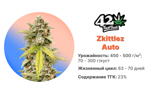Zkittlez Auto
