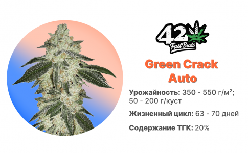 Green Crack Auto Green Crack Auto