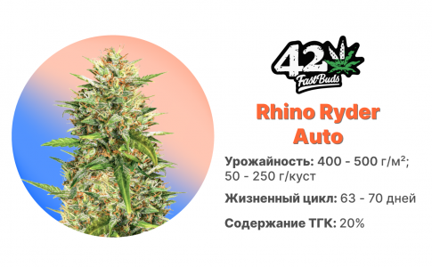 Rhino Ryder Auto Rhino Ryder Auto