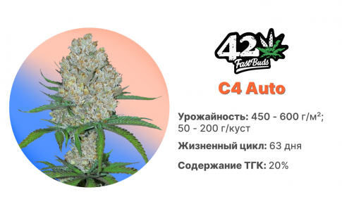 C4 Auto C4 Auto