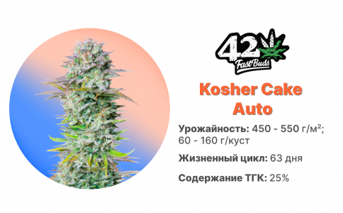 Kosher Cake Auto Kosher Cake Auto