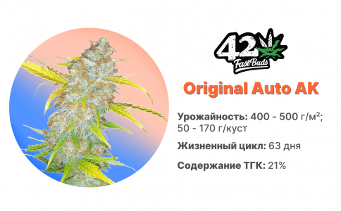 Original Auto Ak Original Auto Ak