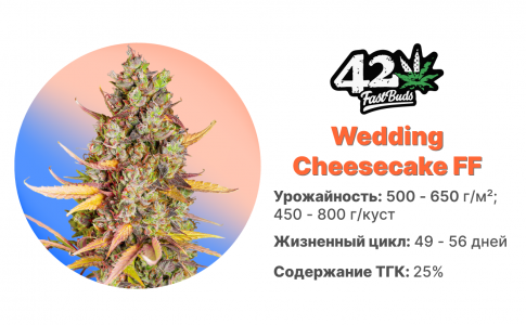 Wedding Cheesecake FF Wedding Cheesecake FF