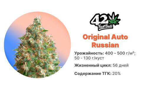 Original Auto Russian Original Auto Russian