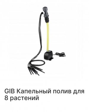 IMG_5707.jpeg