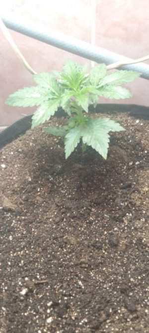 Screenshot_2023-12-25-14-01-39-628_com.miui.gallery.jpg