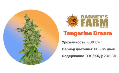 Tangerine Dream Tangerine Dream
