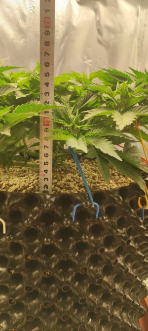 1000007458.jpg