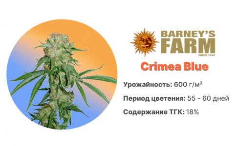Crimea Blue