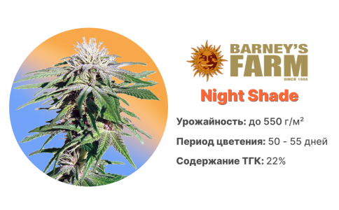 Night Shade
