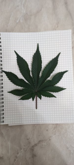1000007655.jpg
