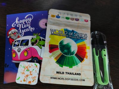 Wild Thailand.jpeg