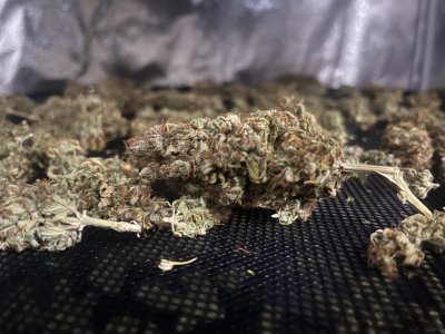 IMG_5047.jpeg