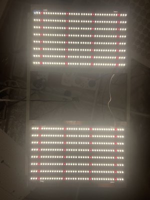BEBDEA0C-2A84-4CD6-B9FD-85AE83560E8F.jpeg