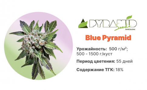 Blue Pyramid