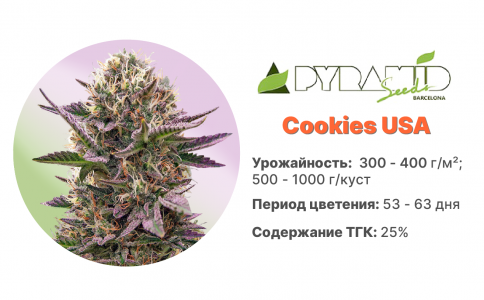 Cookies USA Cookies USA