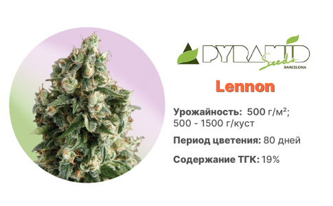 Lennon Lennon