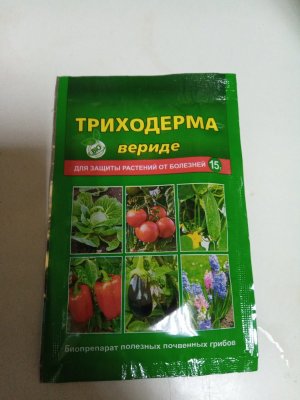 IMG_20240206_182715_9.jpg