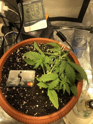 35F9E24A-2161-44FC-B02D-D7F436443A3C.jpeg