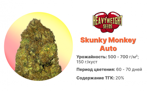 Skunky Monkey Auto Skunky Monkey Auto