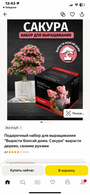 IMG_0283.png