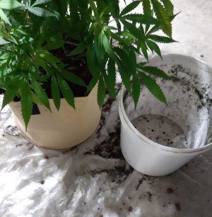 20220130_230829.jpg