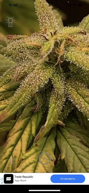 B260826F-420E-4503-B4F2-FCCB14534229.jpg