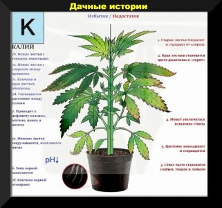 scale_720 (3).jpeg