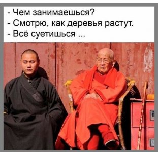 IMG_1015.jpeg