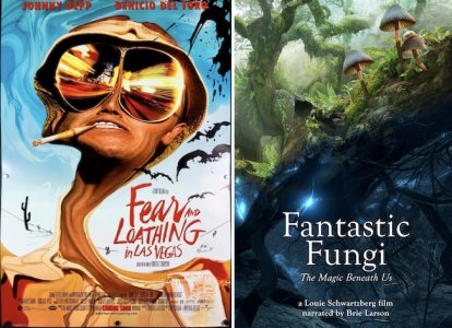 miedo-y-asco-en-las-vegas-1998-_-fantastic-fungi-2019.jpg