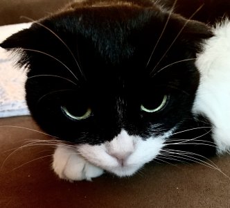 IMG_0430.jpeg