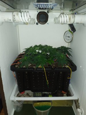 IMG_20240318_200840.jpg