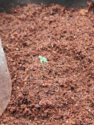 3.jpeg