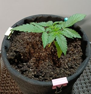 5B737C92-4D05-4FFB-B81B-064FAE325AE0.jpeg
