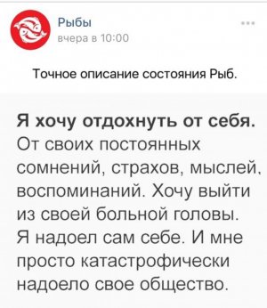 IMG_0798.jpeg