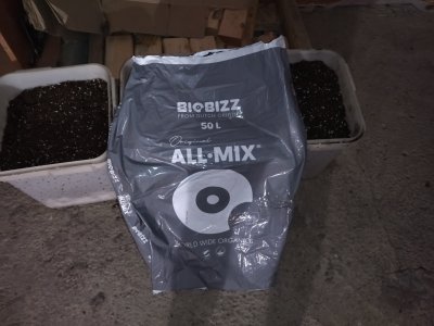IMG_20240405_175345.jpg