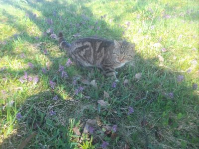 IMG_3693.jpeg