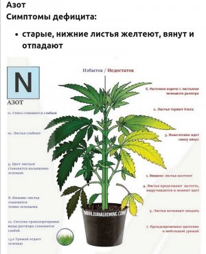 Screenshot_20230529_165852.jpg
