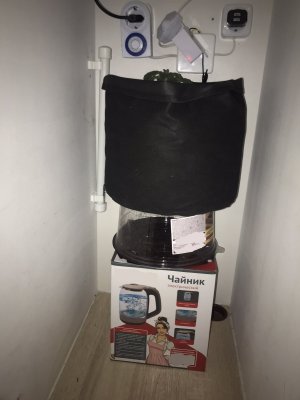 F0597784-4386-49C3-8A4E-7E705464FEAD.jpeg