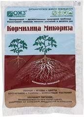 микориза.jpg
