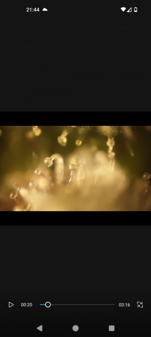 Screenshot_20240509-214414.png