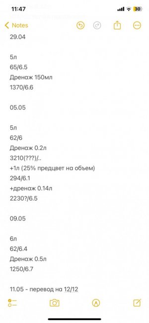 IMG_5537.jpeg