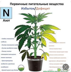 IMG_3570.jpeg