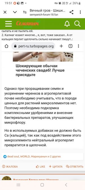 Screenshot_20240529_195104_Chrome.jpg